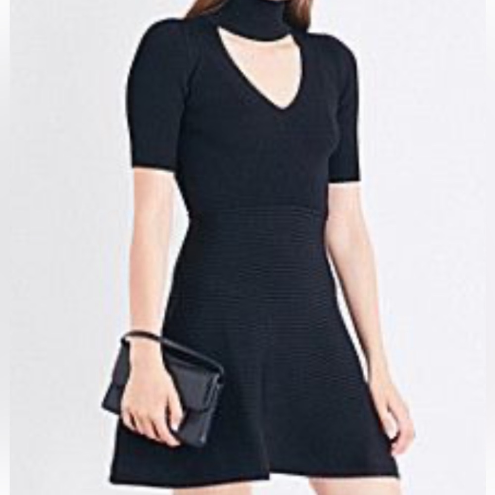 Cushing et Ochs Flare Dress